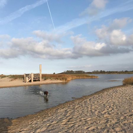 Ferienhaus Nele Ostseebad Kühlungsborn Buitenkant foto