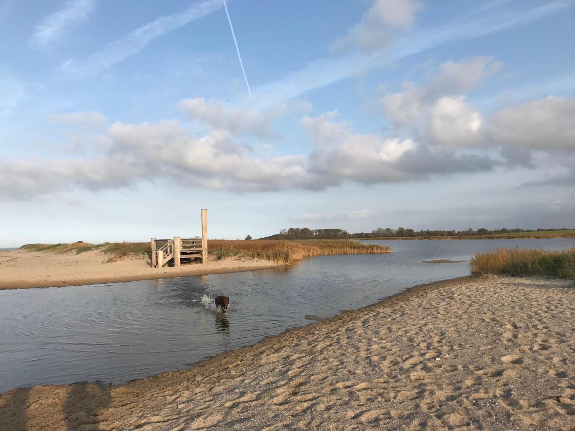 Ferienhaus Nele Ostseebad Kühlungsborn Buitenkant foto